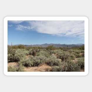 McDowell Mountain Regional Park Sticker